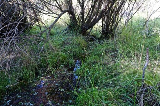 SOLD - Cheap Teller County Land with Running Water - 625 Pinon Lane