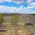 park-county-land-for-sale