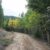 cheap-for-sale-land-in-idaho-springs