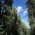 for-sale-land-in-idaho-springs