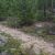 clear-creek-county-lot-for-sale-