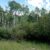 -teller-county-colorado-cheap-land-