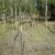 seller-financed-land-in-teller-county-co