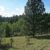 cheap-land-for-sale-in-florissant-co-