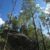cheap-teller-county-property-for-sale