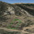land-for-sale