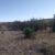 -cheap-river-front-property-in-bloomfield-nm-