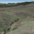 cheap-land-for-sale-in-cotopaxi-co
