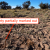 low-down-seller-financing-apache-county-lot