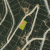 cheap-colorado-land