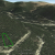 property-for-sale-in-idaho-springs-co
