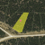 cheap-land-in-idaho-springs-co