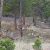 great-cheap-fremont-colorado-property-