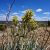 cheap-land-for-sale-