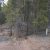 florissant-co-land-for-sale-