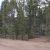 cheap-property-for-sale-in-florissant-co