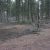 cheap-land-in-florissant-co