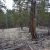 co-seller-financed-land-