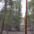 -florissant-co-seller-financed-land