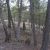cheap-teller-county-lot-for-sale-