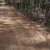 teller-county-lot-for-sale-