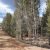 low-down-seller-financing-teller-county-lot
