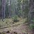 idaho-springs-co-cheap-land-sale