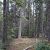 cheap-land-sale