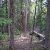 land-for-sale-by-owner-