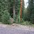 clear-creek-co-land-deals