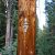 -clear-creek-co-land-for-sale-