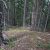 cheap-idaho-springs-co-land