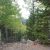cheap-colorado-land