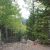 idaho-springs-co-land-for-sale