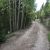 cheap-land-in-idaho-springs-co