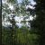 very-cheap-seller-financed-land