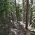 sale-land-in-idaho-springs-co