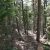 cheap-clear-creek-county-lot-for-sale-