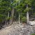 low-down-seller-financing-clear-creek-county-lot