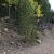 clear-creek-co-land-for-sale-