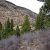 land-sale-in-clear-creek-colorado