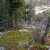 cheap-land-for-sale-