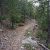 very-cheap-seller-financed-land-in-colorado