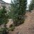 low-down-seller-financing-clear-creek-county-lot