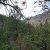 clear-creek-county-lot-for-sale-