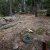 seller-financed-land-in-clear-creek-county-
