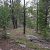 dumont-co-land-for-sale