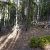 cheap-land-for-sale-in-clear-creek-county-colorado