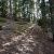 cheap-clear-creek-county-colorado-land-for-sale