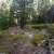 -dumont-co-land-for-sale